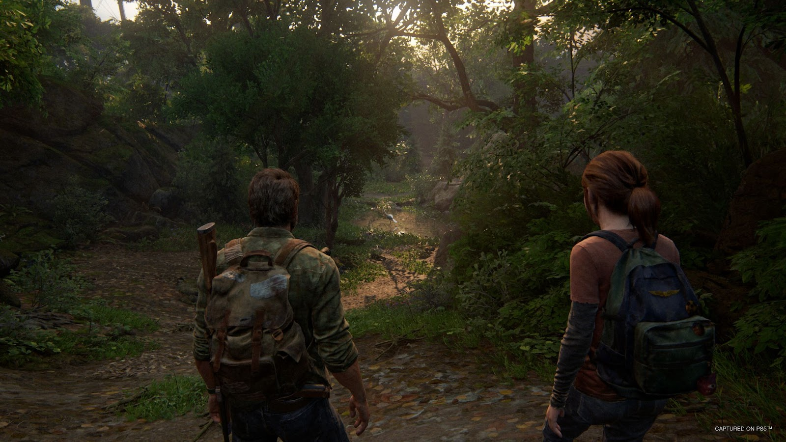 Why The Last of Us Is Perfect as an HBO Series - IGN